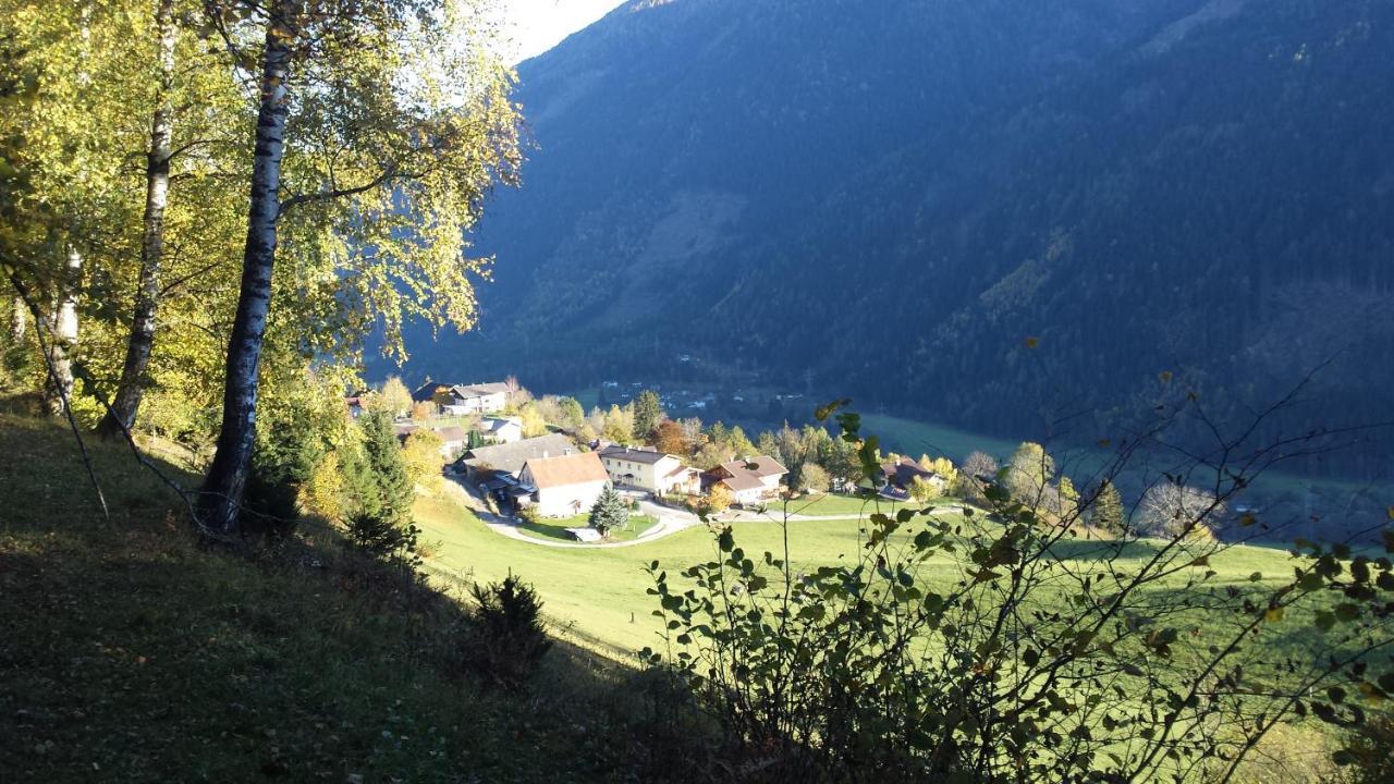 Ferienwohnung Am Bauernhof Zechner Heidi ฟลาทอาค ภายนอก รูปภาพ